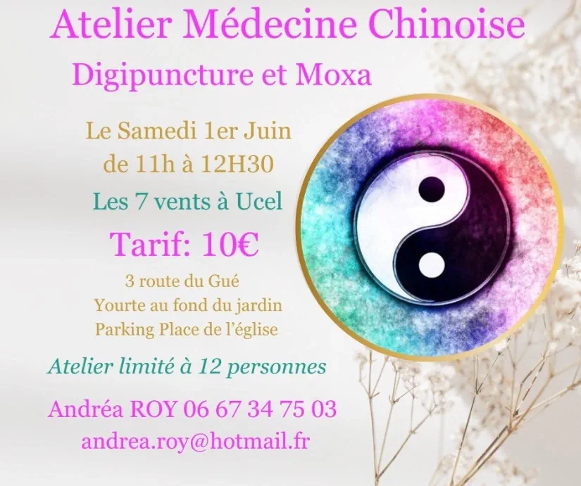 Stages et Ateliers de médecine chinoise en groupe à Aubenas avec Andréa Roy : moxa et digipuncture